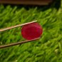 Mozambique Ruby 7.00 cts Blood Red UNHEATED Ruby 100%Natural Ruby Cut Stone.