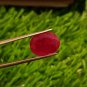 Mozambique Ruby 7.00 cts Blood Red UNHEATED Ruby 100%Natural Ruby Cut Stone.