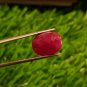 Mozambique Ruby 7.00 cts Blood Red UNHEATED Ruby 100%Natural Ruby Cut Stone.