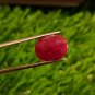 Mozambique Ruby 7.00 cts Blood Red UNHEATED Ruby 100%Natural Ruby Cut Stone.