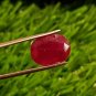 Mozambique Ruby 7.00 cts Blood Red UNHEATED Ruby 100%Natural Ruby Cut Stone.
