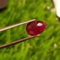 1.55 cts Mozambique Ruby Blood Red, Natural Ruby ,UNHEATED ,CERTIFIED, igi AAA+