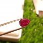 1.55 cts Mozambique Ruby Blood Red, Natural Ruby ,UNHEATED ,CERTIFIED, igi AAA+
