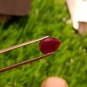 1.55 cts Mozambique Ruby Blood Red, Natural Ruby ,UNHEATED ,CERTIFIED, igi AAA+