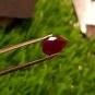 1.55 cts Mozambique Ruby Blood Red, Natural Ruby ,UNHEATED ,CERTIFIED, igi AAA+
