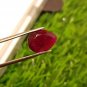 Mozambique Ruby 5.48cts Pigeon Blood Red Rare size Natural Ruby CERTIFIED.