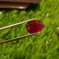 Mozambique Ruby 5.48cts Pigeon Blood Red Rare size Natural Ruby CERTIFIED.
