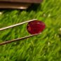 Mozambique Ruby 5.48cts Pigeon Blood Red Rare size Natural Ruby CERTIFIED.