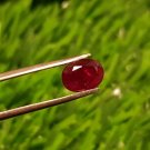 Mozambique Ruby 1.65Cts Cut Stone UNHEATED Ruby AAA+Natural CERTIFIED Ruby.