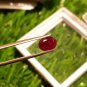 Mozambique Ruby 1.65Cts Cut Stone UNHEATED Ruby AAA+Natural CERTIFIED Ruby.