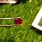 Mozambique Ruby 1.65Cts Cut Stone UNHEATED Ruby AAA+Natural CERTIFIED Ruby.
