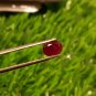 Mozambique Ruby 1.65Cts Cut Stone UNHEATED Ruby AAA+Natural CERTIFIED Ruby.