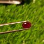 Mozambique Ruby 1.65Cts Cut Stone UNHEATED Ruby AAA+Natural CERTIFIED Ruby.