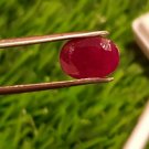 Mozambique Ruby 3.20ct Blood Red 100% Natural Ruby UNHEATED  100 $ per cts