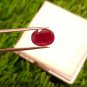 Mozambique Ruby 3.20ct Blood Red 100% Natural Ruby UNHEATED 100 $ per cts