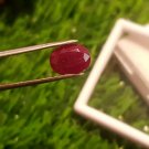 Mozambique Ruby 4.00ct Blood Red 100% Natural Ruby no heat , 75 $ per cts Mozambique Ruby 4.00ct Blood Red 100% Natural Ruby no heat , 75 $ per cts