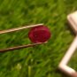 Mozambique Ruby 4.00ct Blood Red 100% Natural Ruby no heat , 75 $ per cts