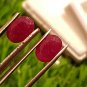 Mozambique Ruby 3.95 ct Pair Red 100% Natural Ruby UNHEATED Ruby Cut Stone.