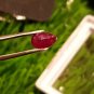 0.93 ct Mozambique Ruby Blood Red No Heat 100%Natural Ruby  CERTIFIED  AAA+