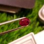 1.03ct Mozambique Ruby UNHEATED Blood Red 100% Natural Ruby TTSHSTTMPPW440.
