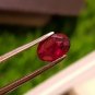 1.03ct Mozambique Ruby UNHEATED Blood Red 100% Natural Ruby TTSHSTTMPPW440.