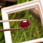 1.03ct Mozambique Ruby UNHEATED Blood Red 100% Natural Ruby TTSHSTTMPPW440.