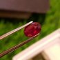 1.03ct Mozambique Ruby UNHEATED Blood Red 100% Natural Ruby TTSHSTTMPPW440.