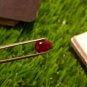 Mozambique Ruby 2.20cts Blood Red UNHEATED 100%Natural Ruby Cut Stone CERTIFIED