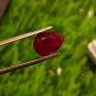 Mozambique Ruby 2.20cts Blood Red UNHEATED 100%Natural Ruby Cut Stone CERTIFIED