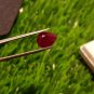 Mozambique Ruby 2.20cts Blood Red UNHEATED 100%Natural Ruby Cut Stone CERTIFIED