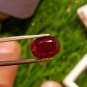 3.30cts Mozambique Ruby Blood Red Cut Stone UNHEATED Ruby 100%Natural CERTIFIED.