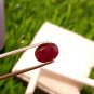 3.30cts Mozambique Ruby Blood Red Cut Stone UNHEATED Ruby 100%Natural CERTIFIED.