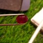 3.30cts Mozambique Ruby Blood Red Cut Stone UNHEATED Ruby 100%Natural CERTIFIED.