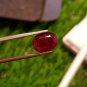 3.30cts Mozambique Ruby Blood Red Cut Stone UNHEATED Ruby 100%Natural CERTIFIED.