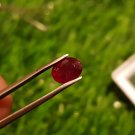 Mozambique Ruby 1.00Cts Cut Stone UNHEATED Ruby 100%Natural CERTIFIED Ruby.