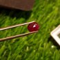 Mozambique Ruby 1.00Cts Cut Stone UNHEATED Ruby 100%Natural CERTIFIED Ruby.