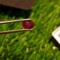 Mozambique Ruby 1.00Cts Cut Stone UNHEATED Ruby 100%Natural CERTIFIED Ruby.