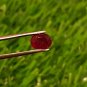 Mozambique Ruby 1.00Cts Cut Stone UNHEATED Ruby 100%Natural CERTIFIED Ruby.