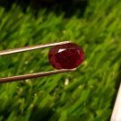 3.30cts Mozambique Ruby Blood Red UNHEATED Ruby 100%Natural Ruby Cut Stone.