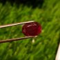 3.30cts Mozambique Ruby Blood Red UNHEATED Ruby 100%Natural Ruby Cut Stone.