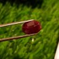 3.30cts Mozambique Ruby Blood Red UNHEATED Ruby 100%Natural Ruby Cut Stone.
