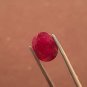Mozambique Ruby 3.25 cts Pigeon Blood Red UNHEATED Natural Red Ruby.