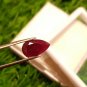 Mozambique Ruby 2.60ct Blood Red 100% Natural Ruby UNHEATED 100 $ per cts