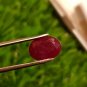 Mozambique Ruby 3.15 Blood Red 100% Natural Ruby no heat , 82 $ per cts