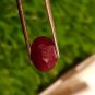 Mozambique Ruby 3.15 Blood Red 100% Natural Ruby no heat , 82 $ per cts