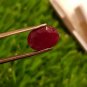 Mozambique Ruby 3.15 Blood Red 100% Natural Ruby no heat , 82 $ per cts