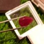 Mozambique Ruby 6.68 ct Blood Red 100% Natural Ruby UNHEATED