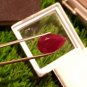 Mozambique Ruby 6.68 ct Blood Red 100% Natural Ruby UNHEATED