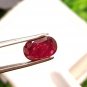 2.30 cts Mozambique Ruby Blood Red UNHEATED Ruby Cut Stone 100%Natural CERTIFIED
