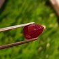 1.60 cts Mozambique Ruby Blood Red 100%Natural UNHEATED Ruby CERTIFIED.